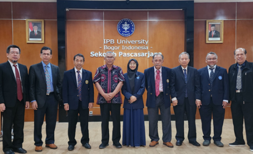 Promosi Selis Promosi Selis