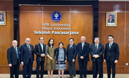 promosi Steni promosi Steni