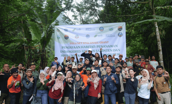 ecologica-penanaman-1